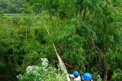 萬州供電公司搶修10千伏線路安裝新導線成功送電