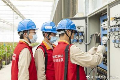 為大棚電力線路、電氣化設(shè)備進(jìn)行縝密排查和整改消缺