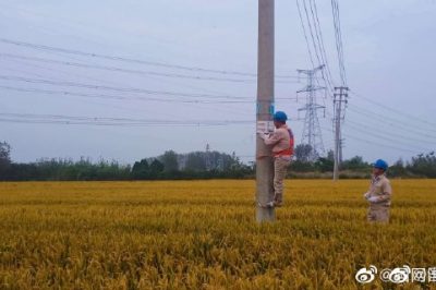 對轄區(qū)內(nèi)農(nóng)田邊的所有的線路進(jìn)行診斷性巡視