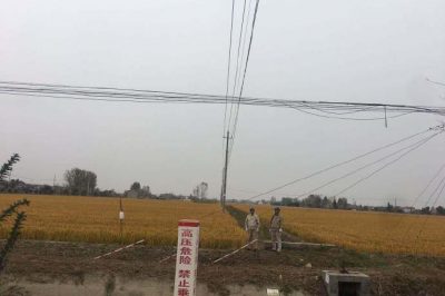 積極組織臺區(qū)經(jīng)理對線路設備進行專項巡視檢查