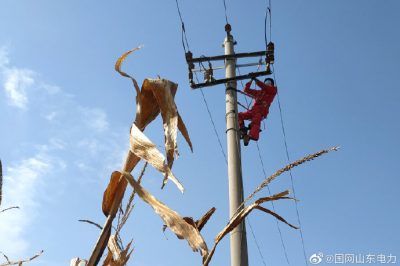 對(duì)10千伏春興線海防支線進(jìn)行清掃、檢修