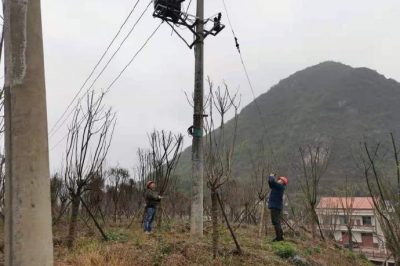 農(nóng)電檢修人員對小石線、高石線等10千伏線路進(jìn)行集中巡視測溫