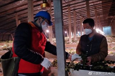 為果蔬大棚檢查供電線路、開關、照明燈具，以及水泵、卷簾機等設備